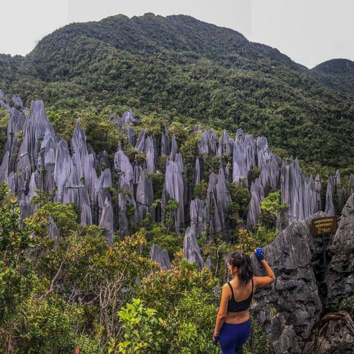 Do You Know RM100 Background is Gunung Mulu National Park? Which Can be ...