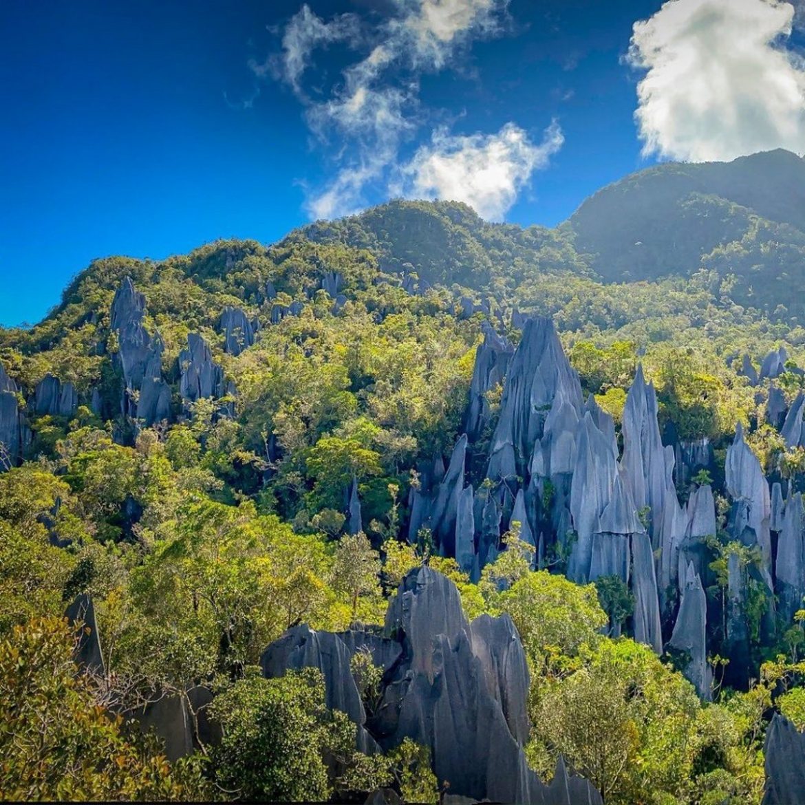 Do You Know Rm100 Background Is Gunung Mulu National Park Which Can Be