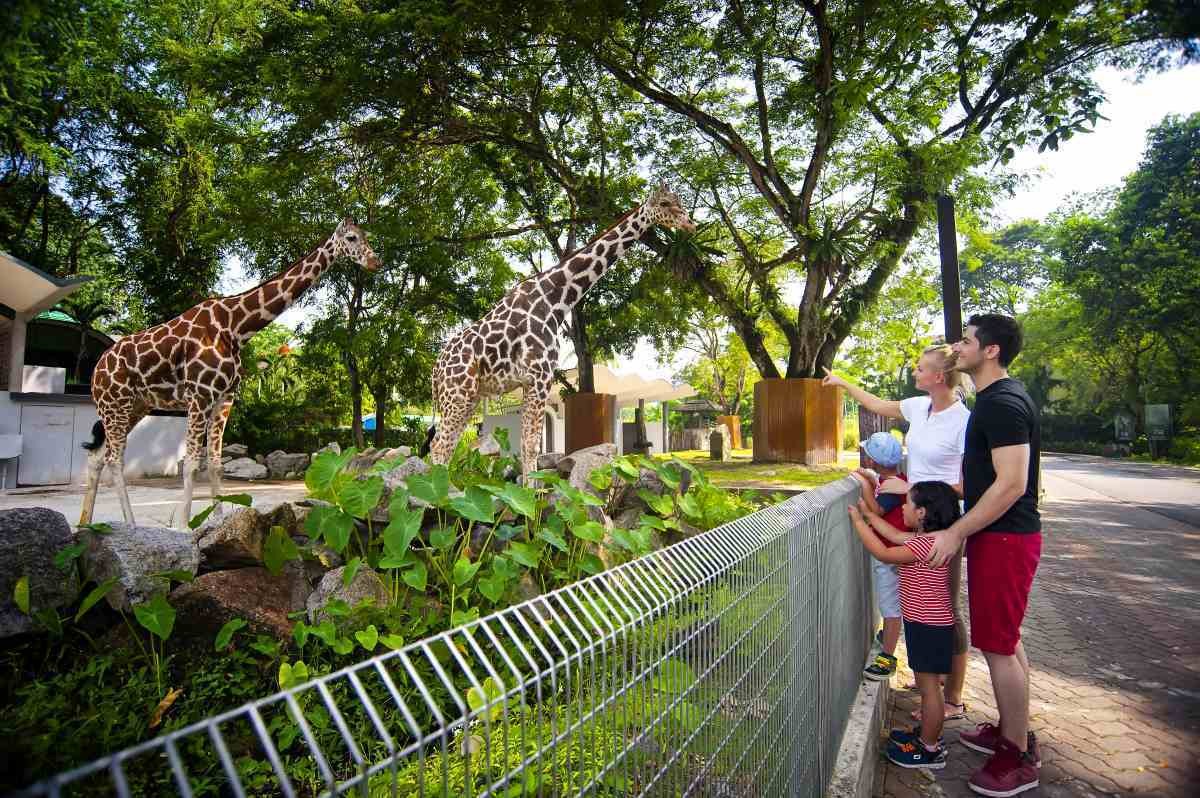 6. Taiping Zoo 2 
