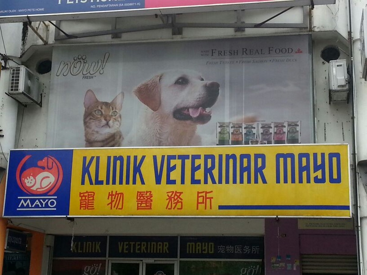 Vets Which Opens 24 Hour or Till Late For Your Furpets 