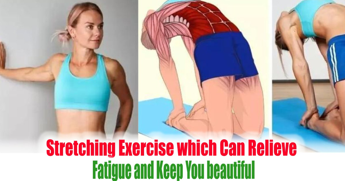 Stretching Exercise which Can Relieve Fatigue and Keep You beautiful ...