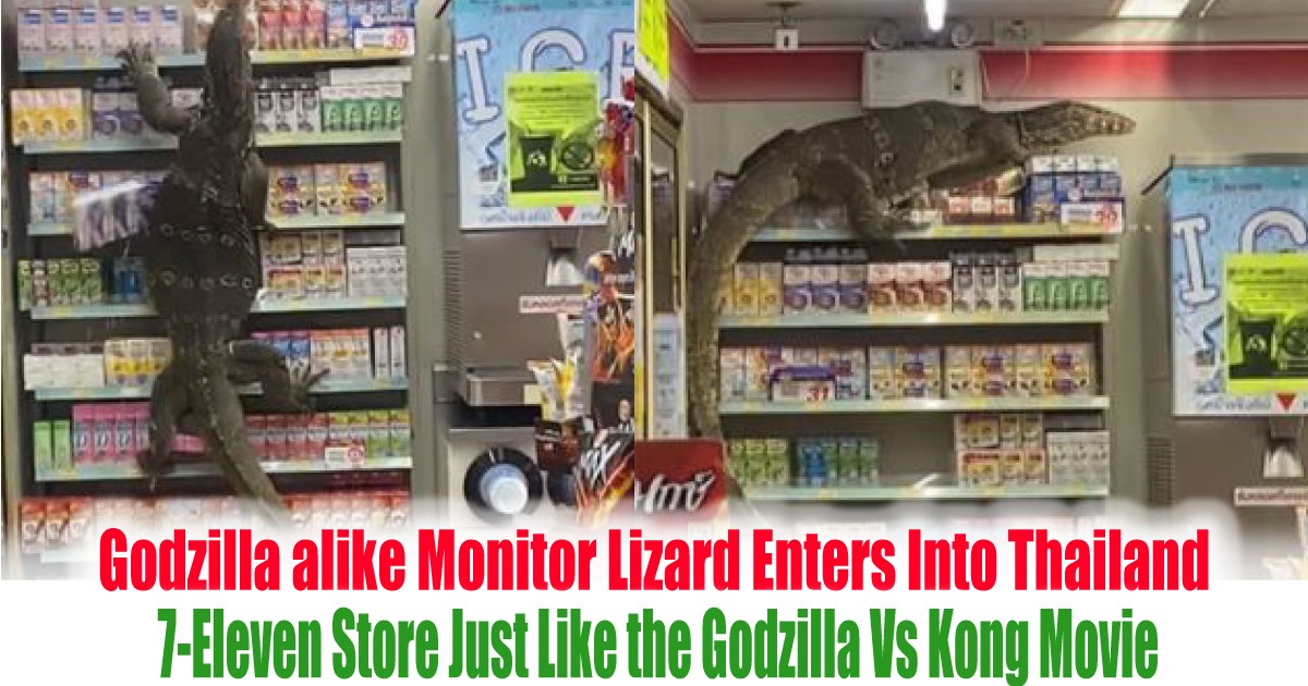 Godzilla Alike Monitor Lizard Enters Into Thailand 7-Eleven Store Just ...